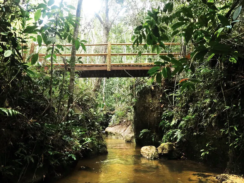 Ponte sobre riacho em área de Mata Atlântica